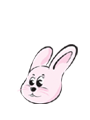 �캰 ����